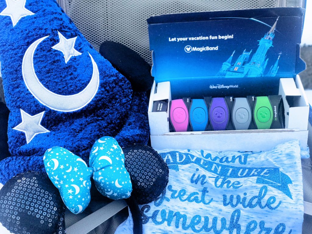 Disney Carry On Bag Essentials