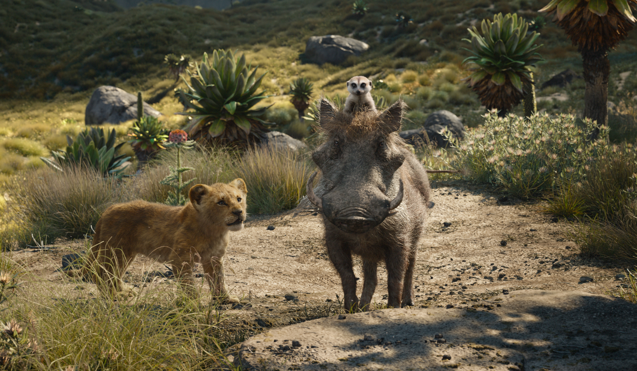 Pumba, Timon, and Simba, in Disney's live-action The Lion King