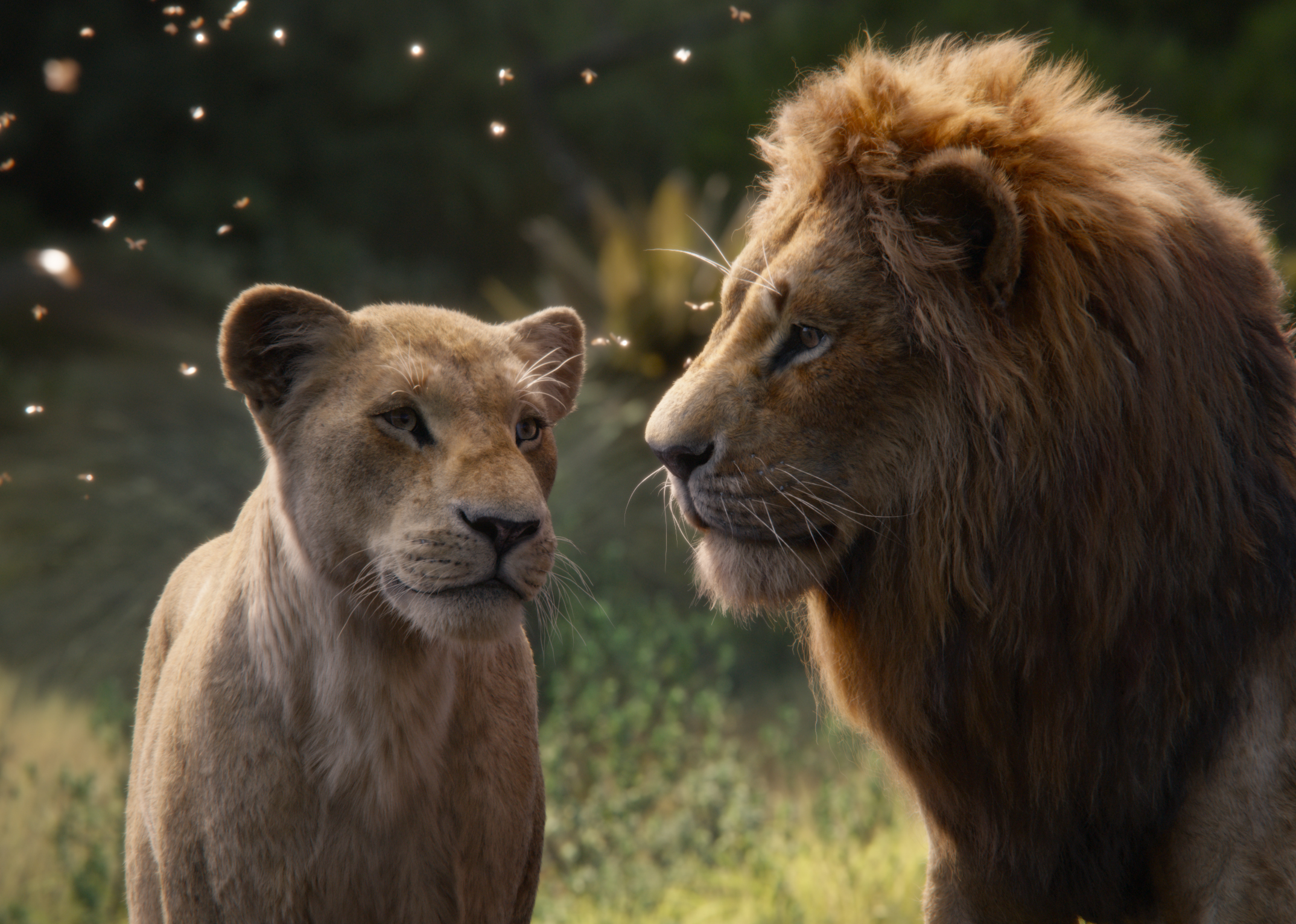 Simba and Nala in The Lion King