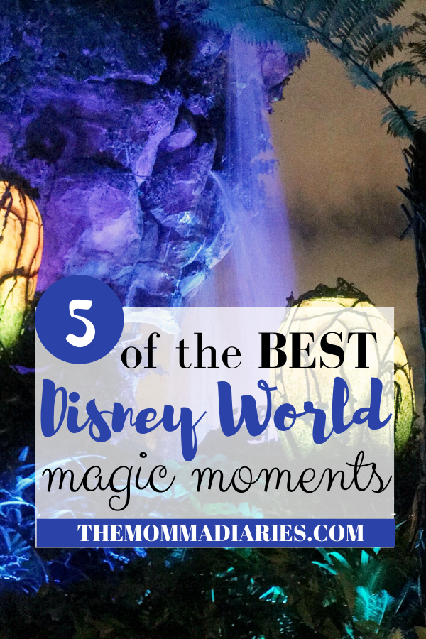 Disney World Magic Moments